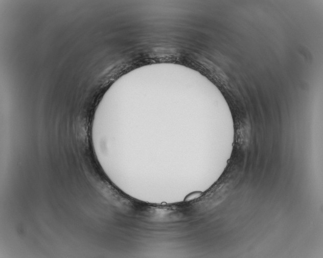 X0000111500662200908111248