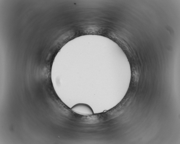 X0000111500665200908111248