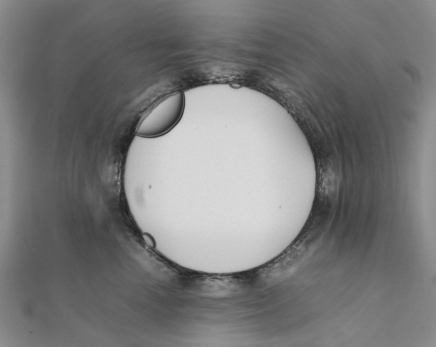 X0000111500666200908111248