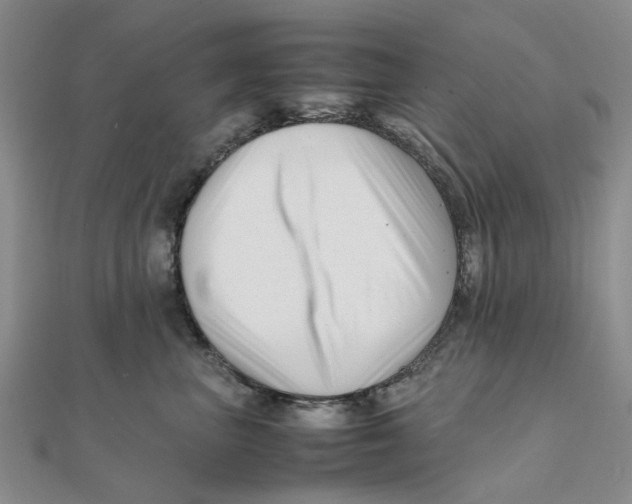 X0000111500667200908111248