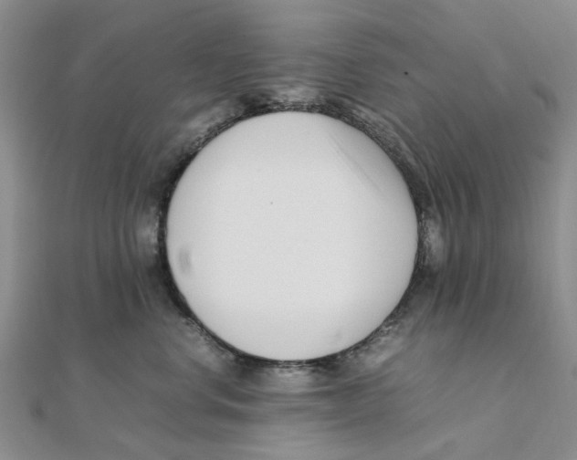 X0000111500668200908111248