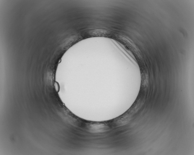 X0000111500669200908111248