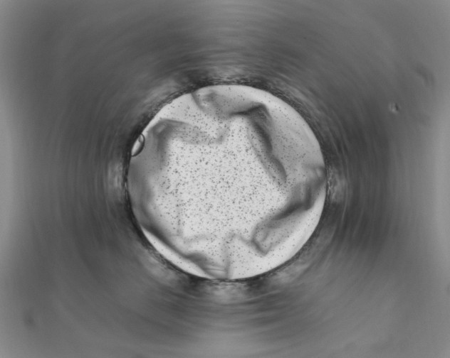 X0000111500670200908111248