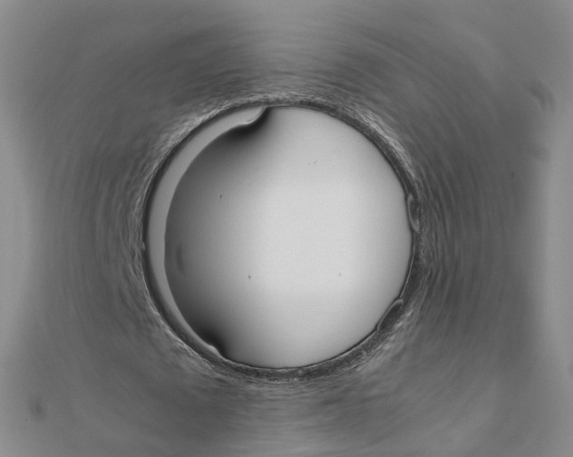 X0000111500673200908111247