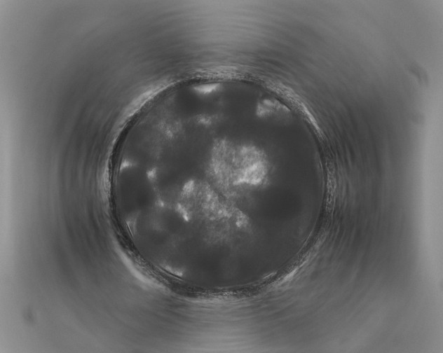 X0000111500674200908111247