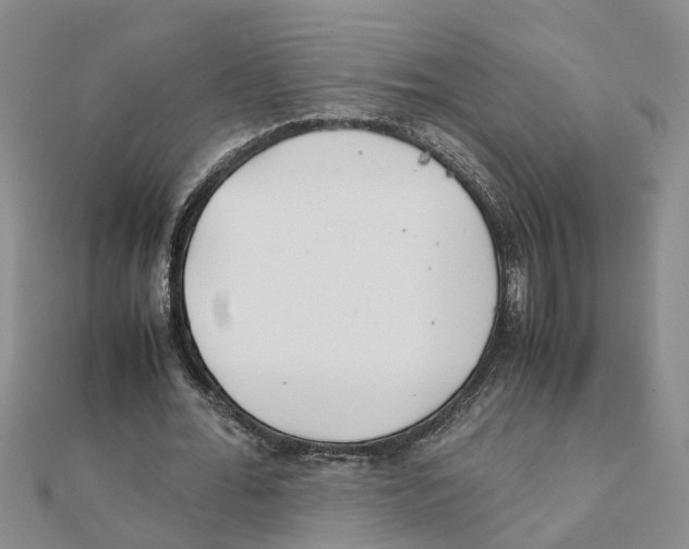 X0000111500676200908111247