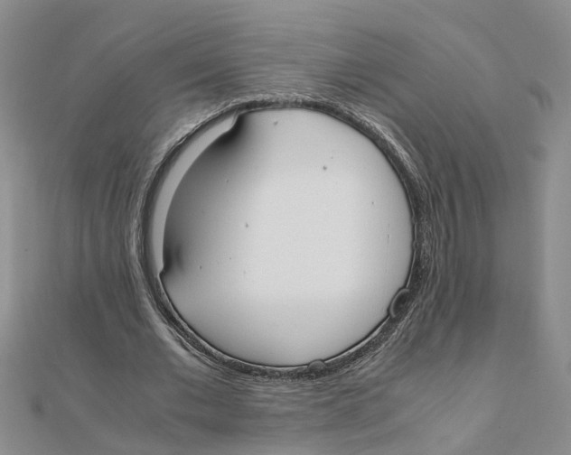 X0000111500677200908111247