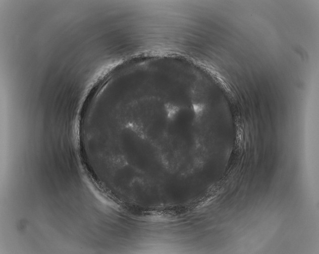 X0000111500678200908111247