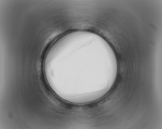 X0000111500679200908111247