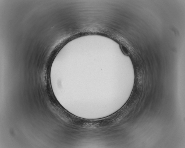 X0000111500680200908111247