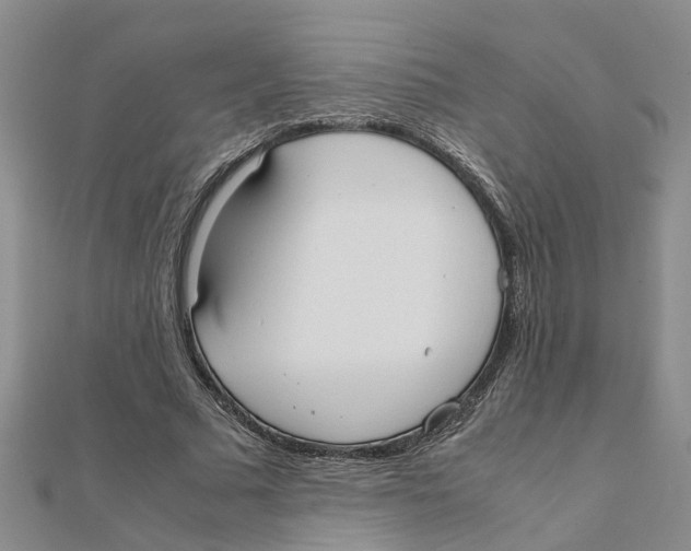 X0000111500681200908111247