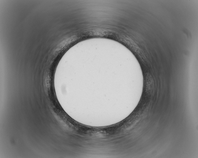 X0000111500683200908111247