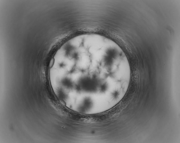 X0000111500688200908111247