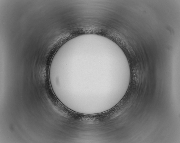 X0000111500690200908111247