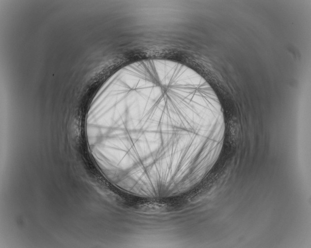 X0000111500691200908111247