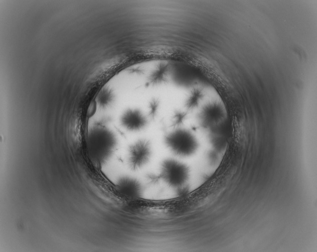 X0000111500692200908111247