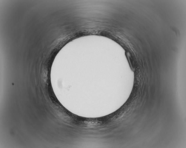 X0000111500693200908111247