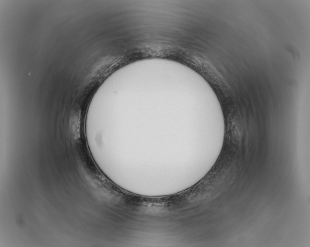 X0000111500694200908111247