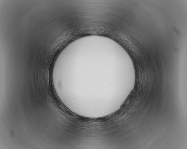 X0000111500696200908111247