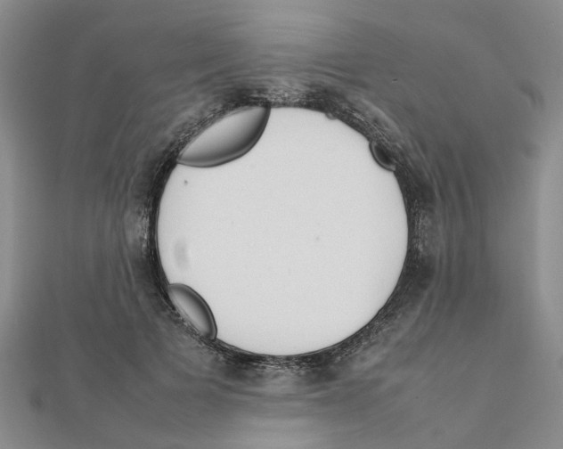 X0000111500697200908111247