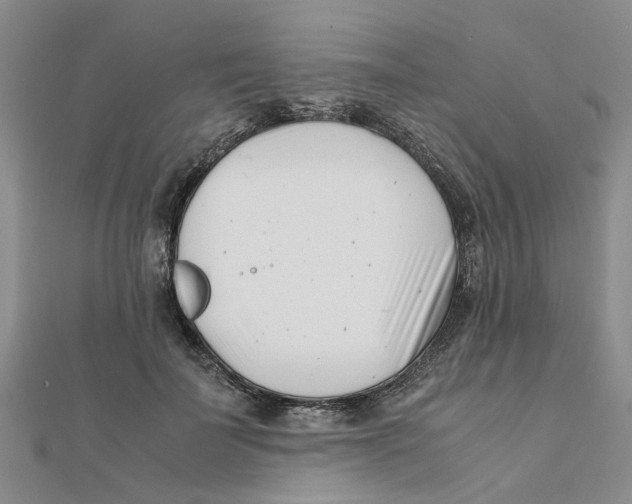 X0000111500699200908111247