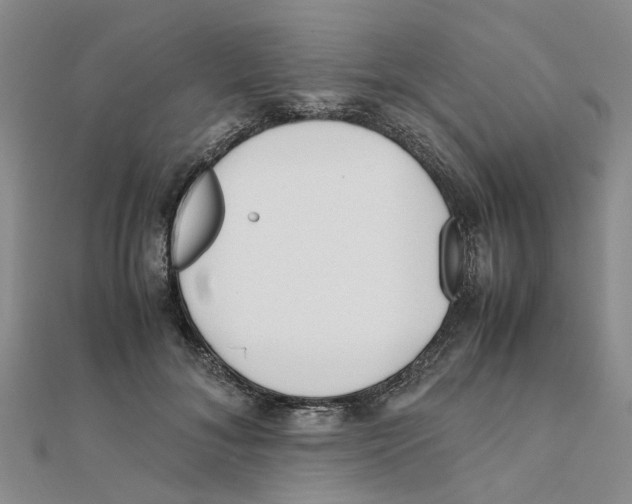 X0000111500700200908111247