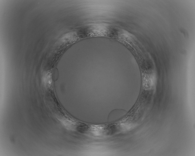 X0000111500701200908111246