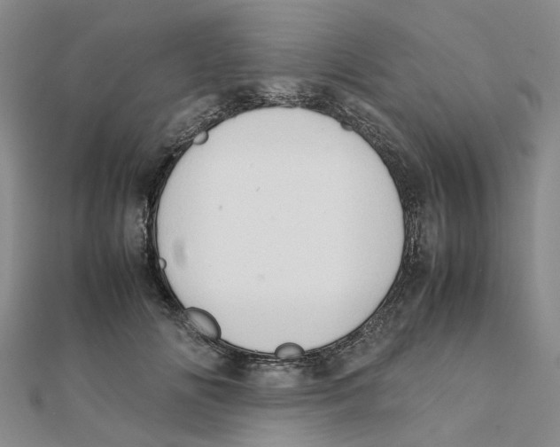 X0000111500702200908111246