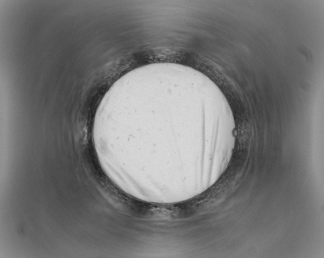 X0000111500703200908111246