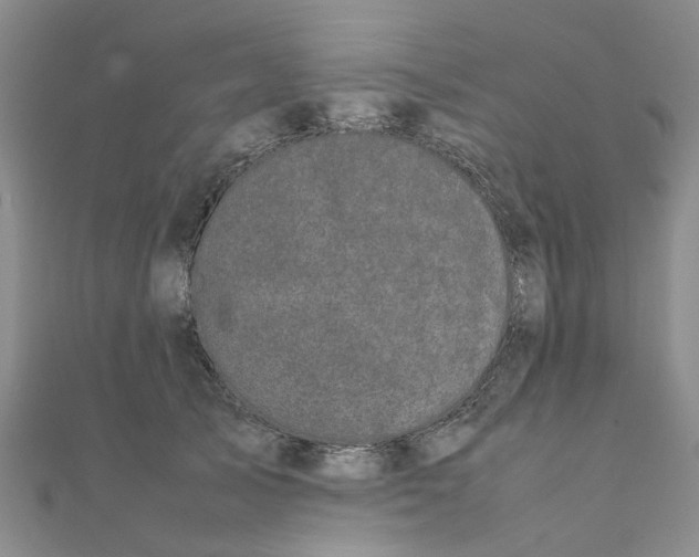 X0000111500705200908111246