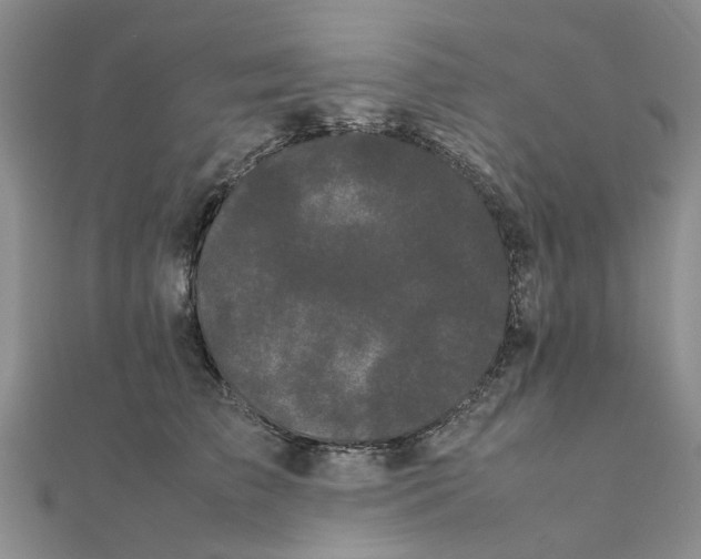 X0000111500709200908111246