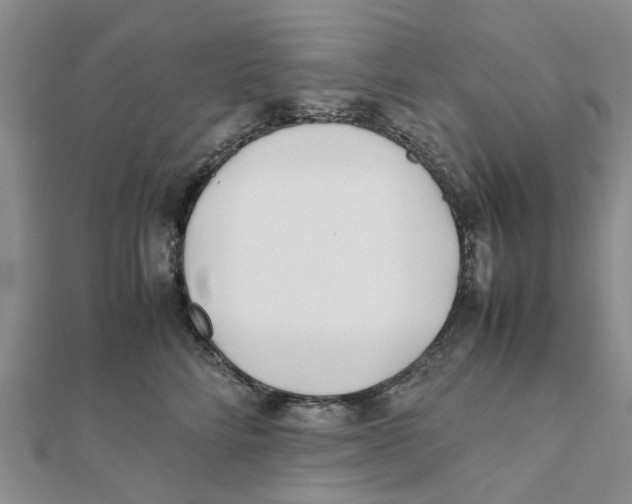 X0000111500712200908111246