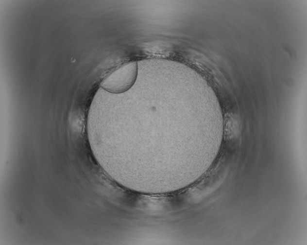 X0000111500713200908111246