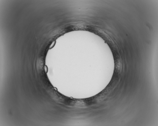 X0000111500715200908111246