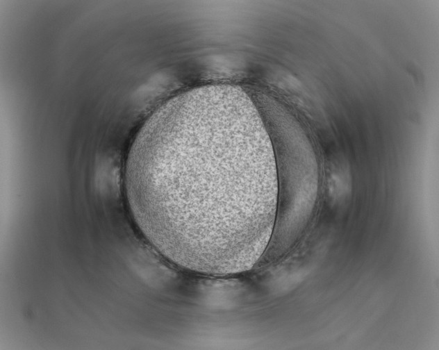 X0000111500716200908111246