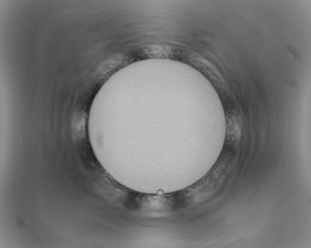 X0000111500717200908111246