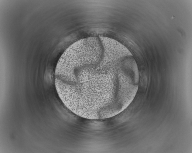 X0000111500718200908111246