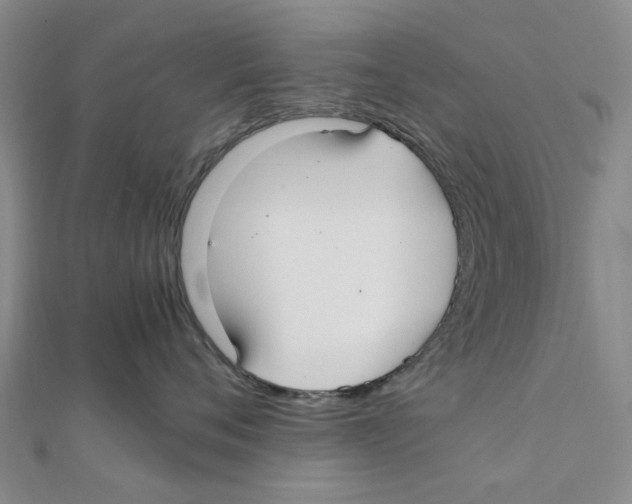 X0000111500720200908111246