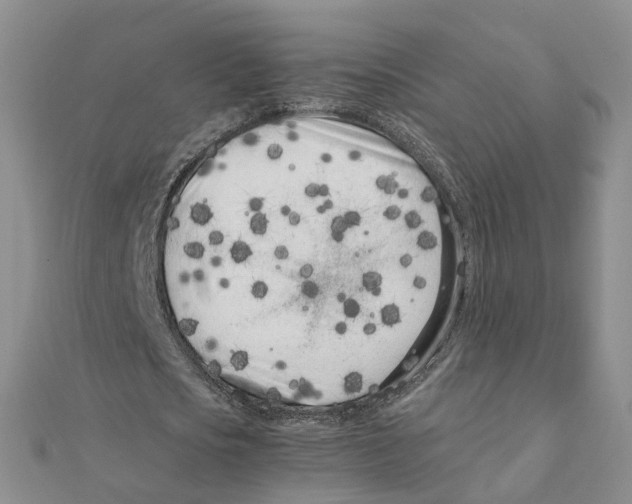 X0000111500721200908111245