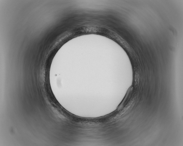 X0000111500722200908111245