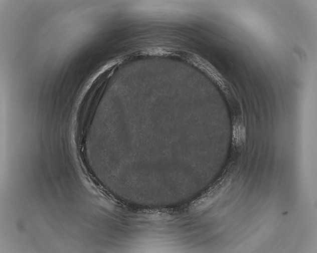 X0000111500724200908111246