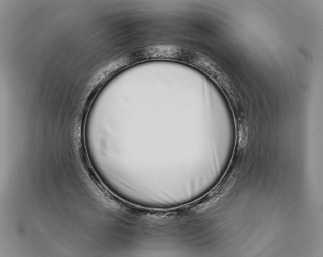 X0000111500725200908111246