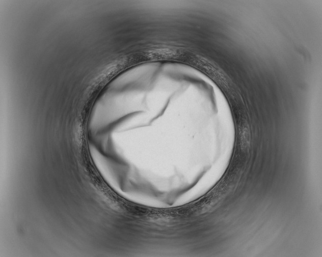 X0000111500729200908111246