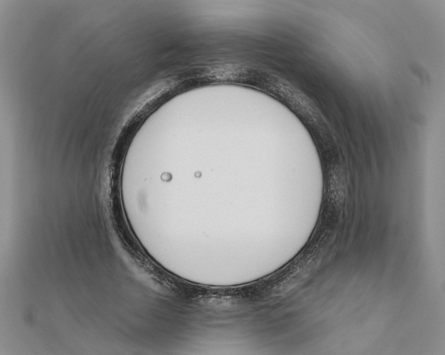 X0000111500730200908111246