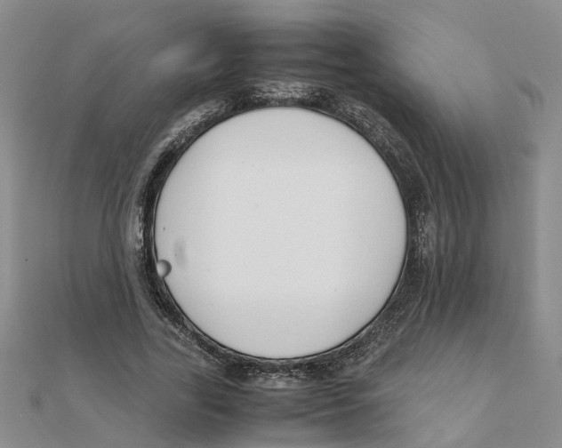 X0000111500731200908111246