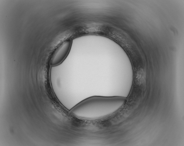 X0000111500732200908111246