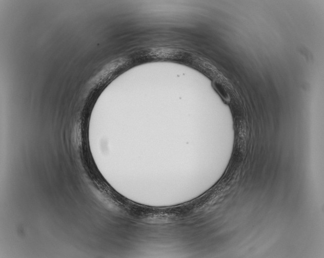 X0000111500734200908111246