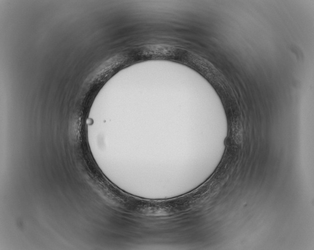 X0000111500735200908111246