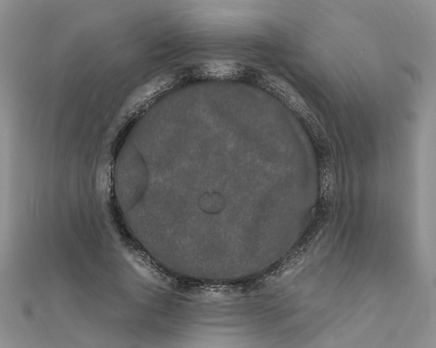 X0000111500736200908111246