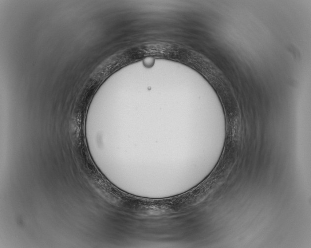 X0000111500737200908111246